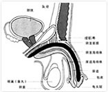 呼和浩特二輕男科醫(yī)院